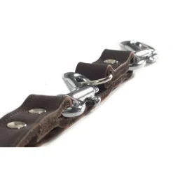 Beeztees Trainingsleine Leder Braun 200x1,2 cm 736401