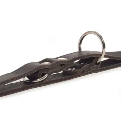 Beeztees Trainingsleine Leder Braun 200x1,2 cm 736401