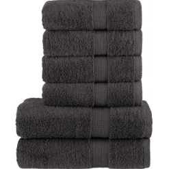 vidaXL 6 tlg. Premium-Handtuch-Set SOLUND Anthrazit 600 g/m²