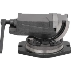 vidaXL 2-Achsen-Schraubstock Kippbar 100 mm