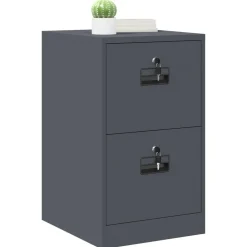 vidaXL Aktenschrank Anthrazit 44 x 50 x 74,5 cm Kaltgewalzter Stahl
