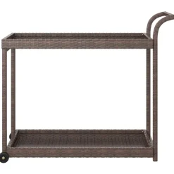 vidaXL Barwagen Braun 100x45x83 cm Poly Rattan