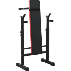 VidaXL Hantelbank Schwarz 126,5 x 67 x 111 cm