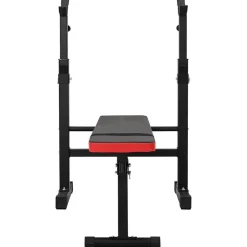 VidaXL Hantelbank Schwarz 126,5 x 67 x 111 cm