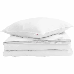 vidaXL 2-in-1 Bettdecke mit Kissen 2 pcs Weiß Daunenfeder