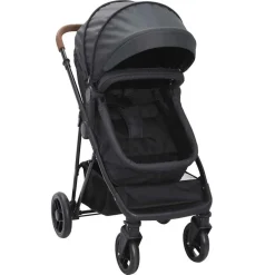 vidaXL 2-in-1 Kinderwagen Anthrazit und Schwarz Stahl