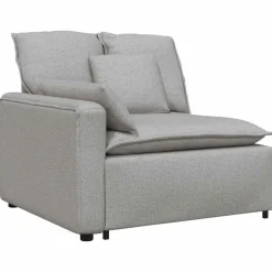 vidaXL Modulares Sofa mit Kissen Stoff Wolkengrau