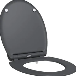 vidaXL Toilettensitz Anthrazit 47 x 37,5 x 3,8 cm Duroplast