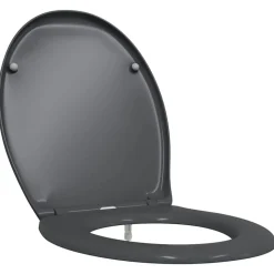 vidaXL Toilettensitz Anthrazit 47 x 37 x 4 cm Duroplast