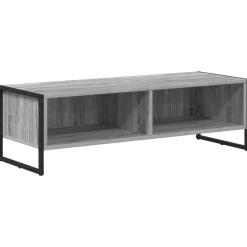 vidaXL TV-Schränk Graues Sonoma 100 x 36,5 x 30,5 cm Holzwerkstoff