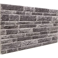 vidaXL Wandpaneele 10 pcs Anthrazit 100 x 50 cm EPS-Schaum