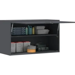 vidaXL Wandschrank für die Garage mit Gasdrucklift-Tür Anthrazit